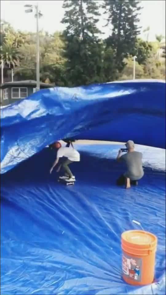 拯救昆虫群
