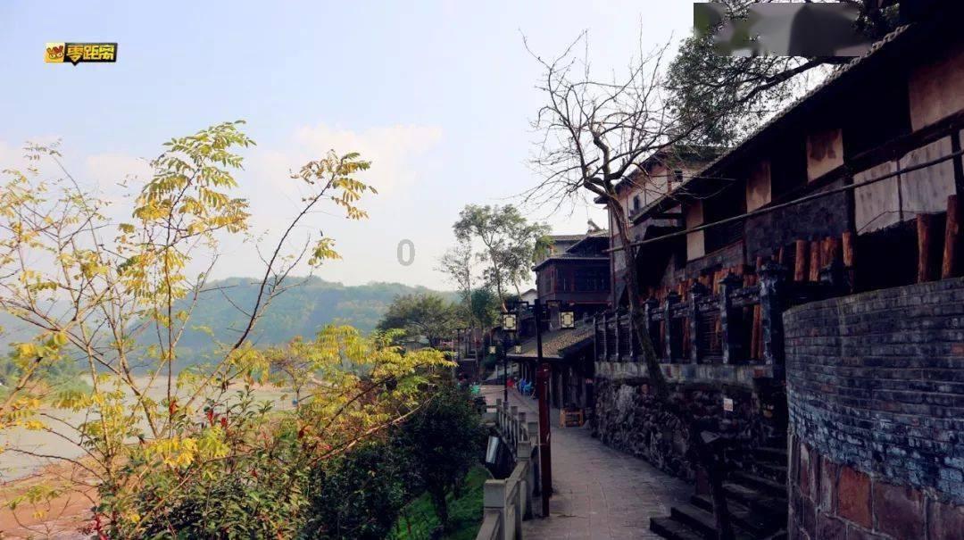 巫师之徒